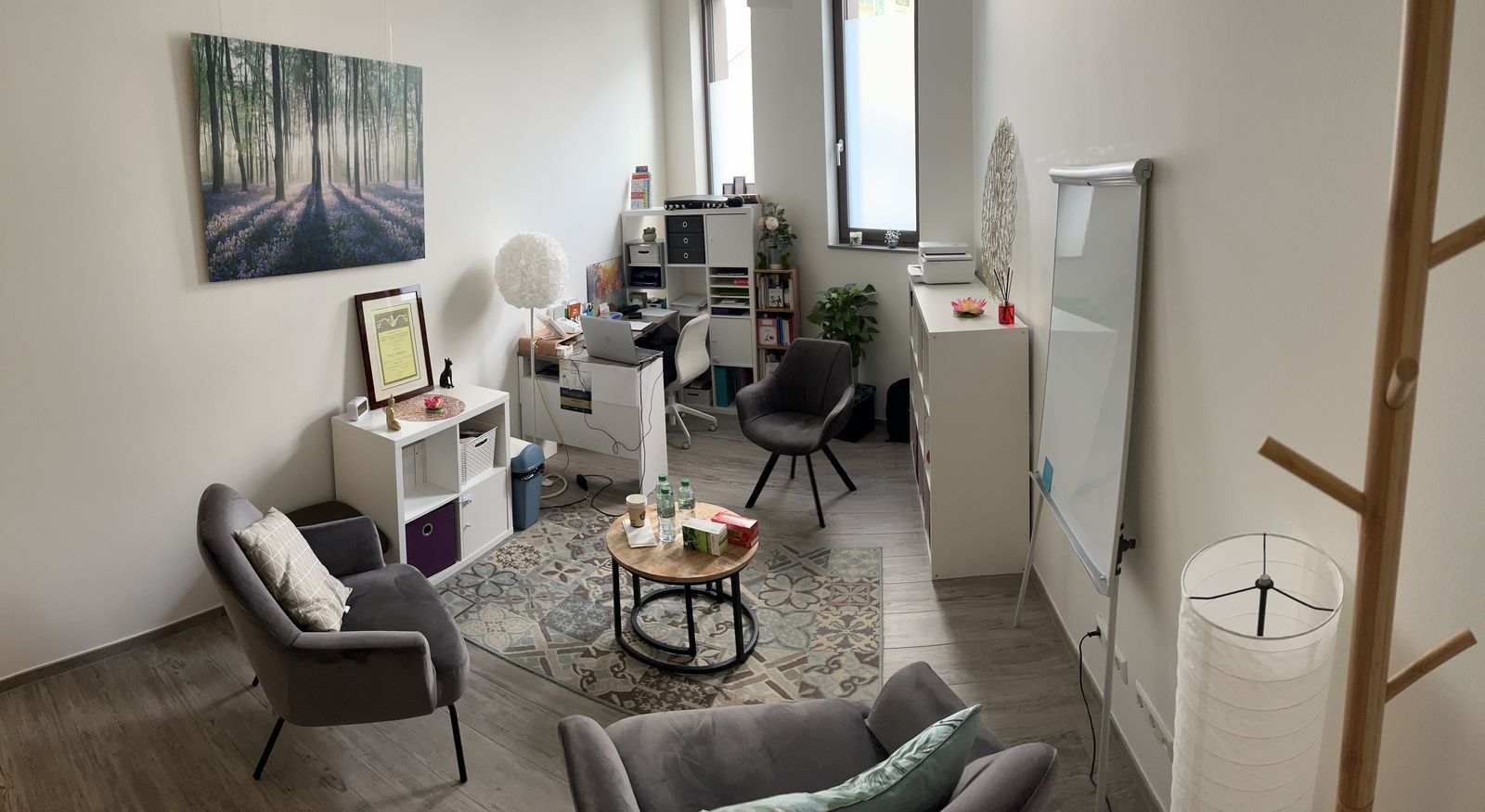 The practice: armchairs, coffee table and desk in a bright room